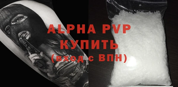 ECSTASY Горняк