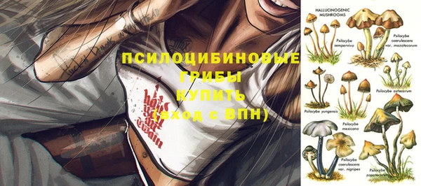 марки nbome Бердск