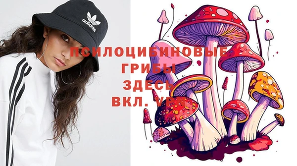 амфетамин Пестово