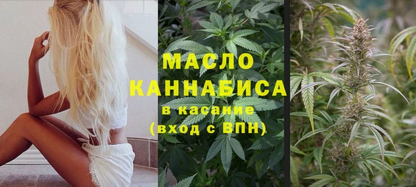 гидропоника Пересвет
