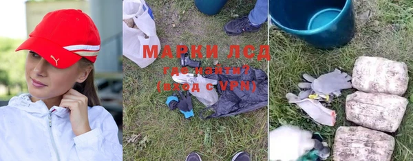 мяу мяу мука Архангельск
