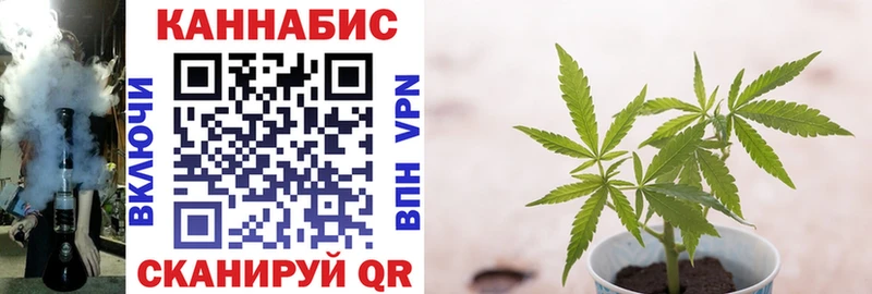 Марихуана ГИДРОПОН  Бабушкин 